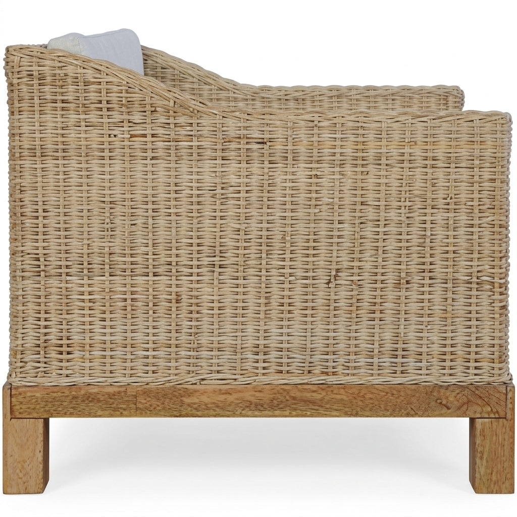 Fauteuil Salon en rotin naturel avec coussins